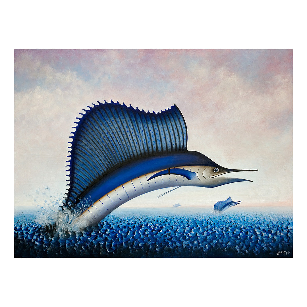 Image of Sailfish by Autumn Justine Miller