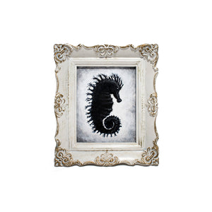 Image of Sea Horse  in White Frame by Autumn Justine Miller