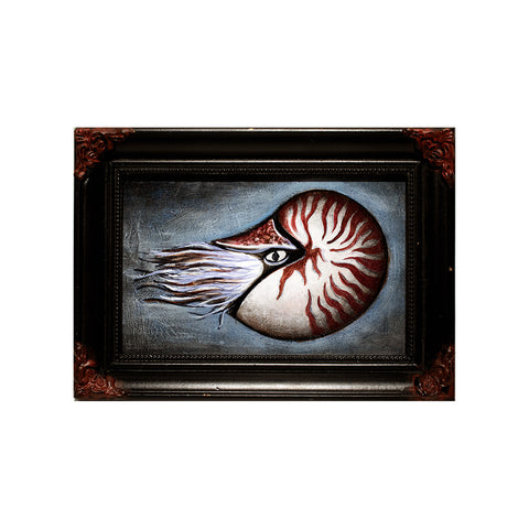 Image of Nautilus by Autumn Justine Miller