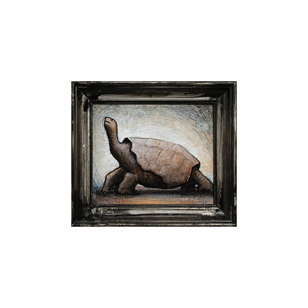 Image of Tortoise by Autumn Justine Miller