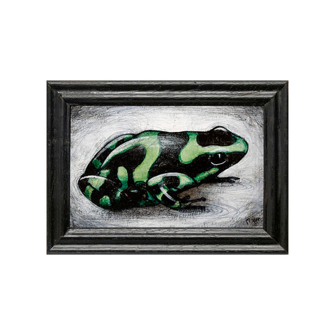 Image of Green Frog by Autumn Justine Miller