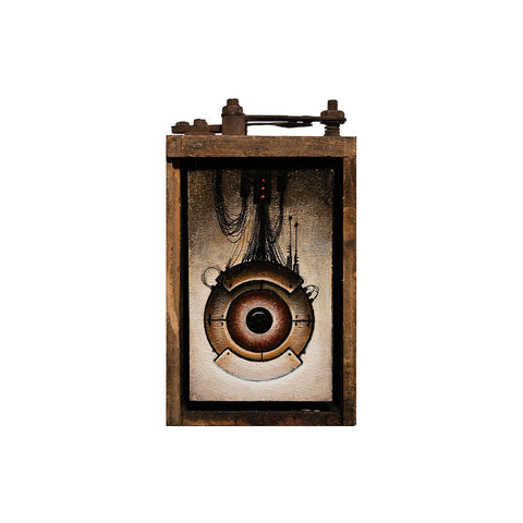 Image of Small Eye Box #2 by Autumn Justine Miller